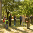 Erdőséta a madarak és fák napján