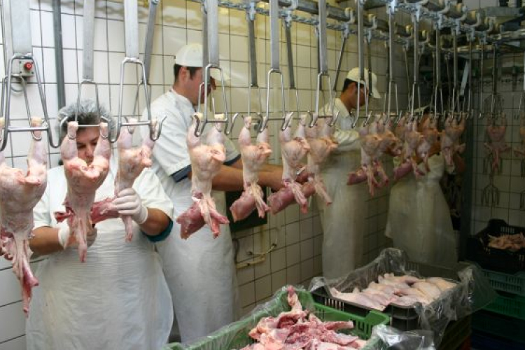 Technológia fejlesztés az INTEGRÁL Zrt. Baromfifeldolgozó üzemében