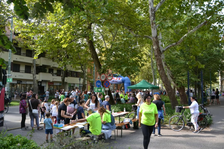 Közel 250 résztvevővel rendezték meg a Ludas Matyi Futamot Kiskunfélegyházán