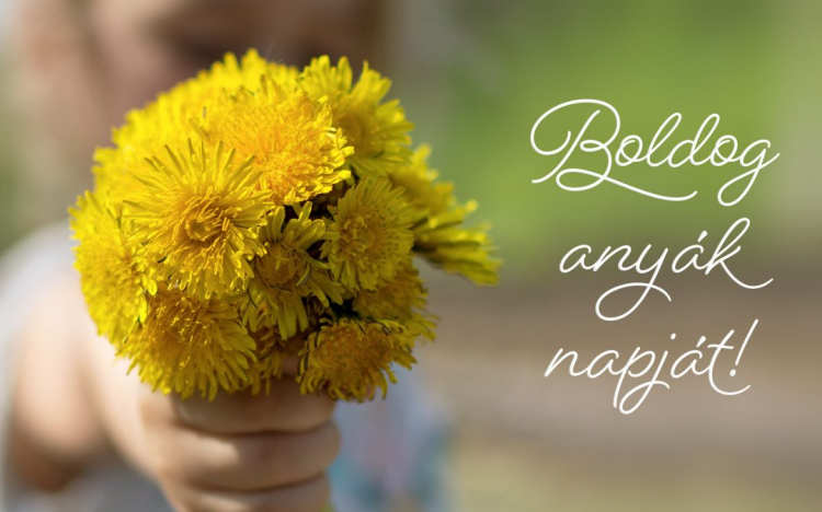 Isten éltessen minden Édesanyát és Nagymamát!