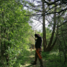 Koppányok Versenyben