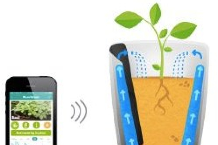 Már locsolnod sem kell – jön az okos virágcserép
