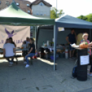 Kreatív ízek és hagyományos receptek találkoztak a Libafesztivál főzőversenyén