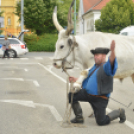 Felvonulással vette kezdetét a pásztortalálkozó