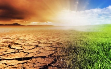 Egyre nagyobb károkat okoz a szárazság a földeken