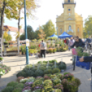 Őszi virágvásárt tartottak a városközpontban