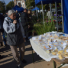 Színes virág kavalkád az őszi virágünnepen