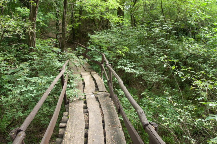 Túratippek 9. - A Jági tanösvény