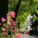 Hivatalosan is átadták a Kossuth utca felújított szakaszát