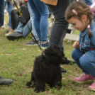 Idén is számos érdeklődőt vonzott a Mezgé piknik