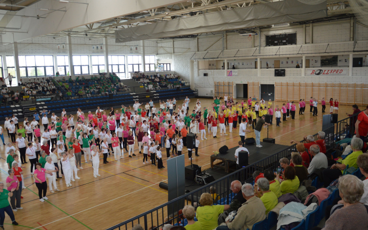 Közel hétszázan táncoltak együtt Kiskunfélegyházán