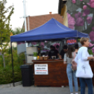 A közönség kedvence volt a szabadtéri mozi Kiskunfélegyházán\