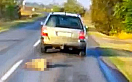 Elfogták a Tiszaalpár és Kiskunfélegyháza között kutyát kínzó férfit