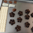 Szakmakóstoló tábor a Mezgében