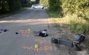 Őzzel ütközött egy rolleres – a férfi életét vesztette