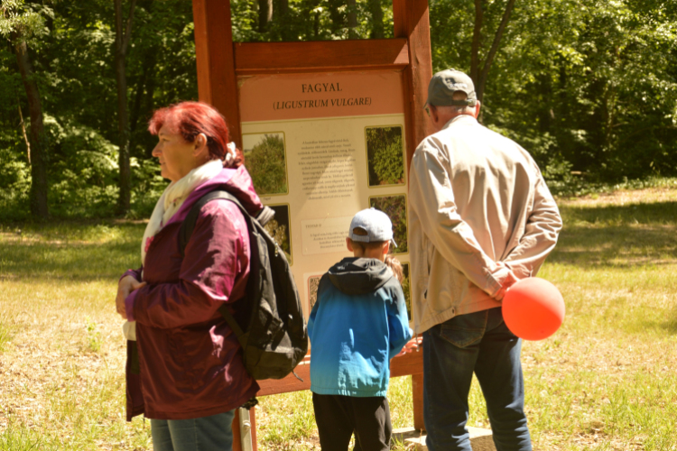Erdőséta a madarak és fák napján