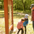 Erdőséta a madarak és fák napján