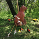 Koppányok Versenyben