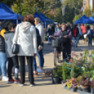 Színes virág kavalkád az őszi virágünnepen