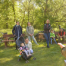 Erdőséta a madarak és fák napján