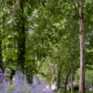 Hivatalosan is átadták a Kossuth utca felújított szakaszát