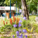 Hivatalosan is átadták a Kossuth utca felújított szakaszát