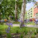 Hivatalosan is átadták a Kossuth utca felújított szakaszát