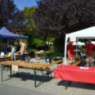 Kreatív ízek és hagyományos receptek találkoztak a Libafesztivál főzőversenyén