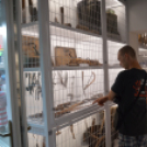 Egy éjszaka a kulturális élmények jegyében