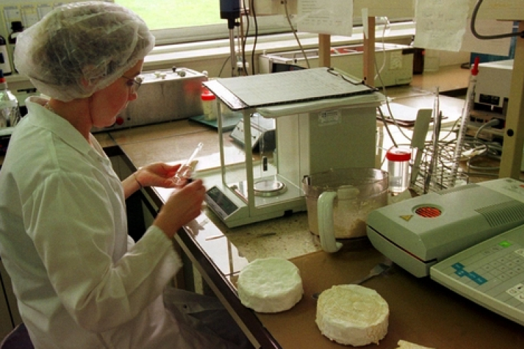 Kedvező tapasztalatok a téli élelmiszer ellenőrzéseken