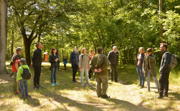 Erdőséta a madarak és fák napján