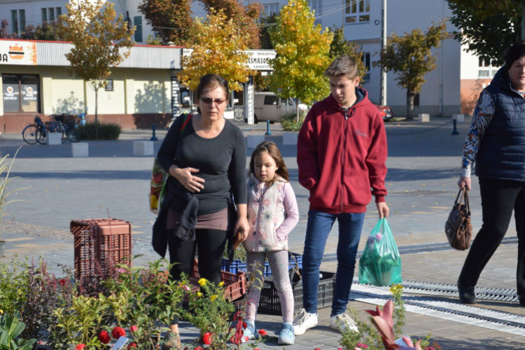 Színes virág kavalkád az őszi virágünnepen