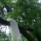 Hétvégi kiruccanás a Szarvasi Arborétum vadregényes tájain