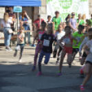 Közel hétszázan vettek részt a Petőfi Emlékfutamon