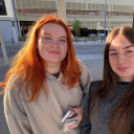 Kiváló eredmények a Közgében