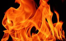 Aljnövényzet ég Kiskunfélegyháza külterületén