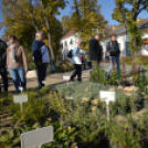 Őszi virágvásárt tartottak a városközpontban