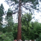 Hétvégi kiruccanás a Szarvasi Arborétum vadregényes tájain