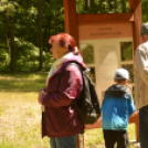 Erdőséta a madarak és fák napján