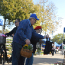 Színes virág kavalkád az őszi virágünnepen