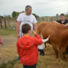 Idén is számos érdeklődőt vonzott a Mezgé piknik