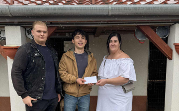 A kutyákért matekoztak