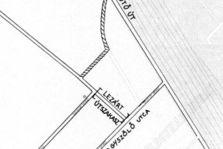 Három hetes úztár a Molnár-telepen