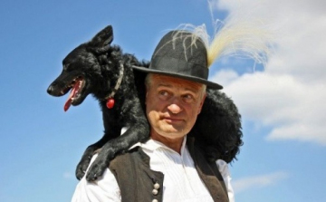 Magyar pásztorkutya találkozó lesz Bugacon