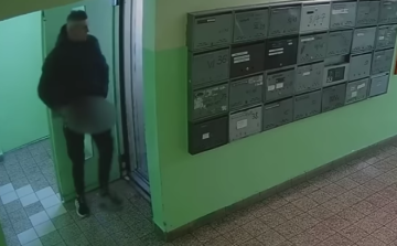 Kirugdalták a liftből a rájuk támadó szatírt Budapesten - Videó