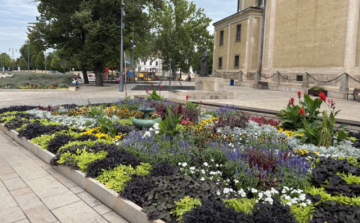 Visit Hungary: elindult a jelentkezés a 33. Virágos Magyarország versenyre