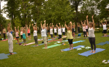 Jóga Világnap Kiskunfélegyházán: fedezd fel a belső egyensúlyt!