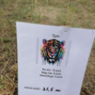 Júliusi Turul Koppány Verseny Eredmények