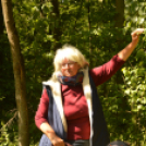 Erdőséta a madarak és fák napján