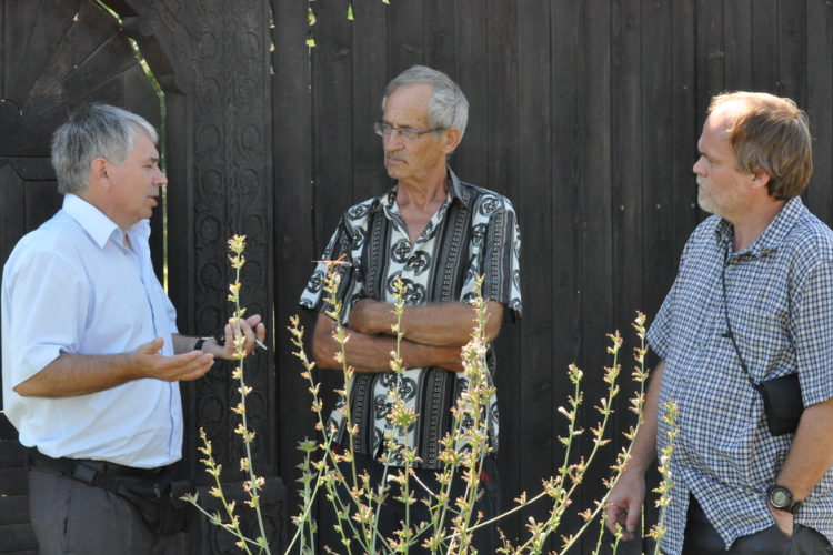 Felújítják a székely kaput?